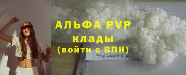 стаф Белокуриха