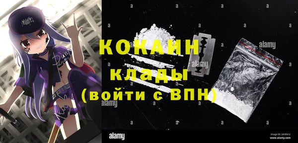 стаф Белокуриха