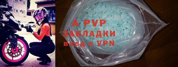 стаф Белокуриха