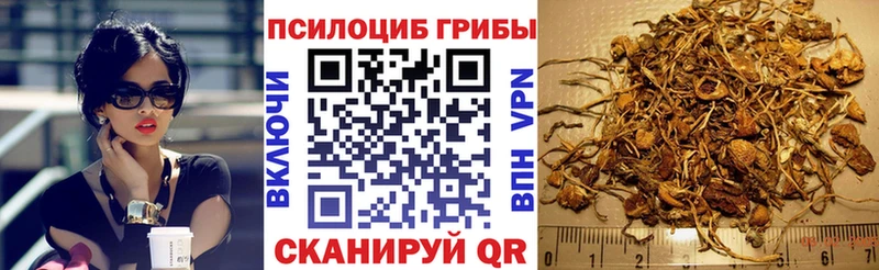 Псилоцибиновые грибы Magic Shrooms  Краснокамск 